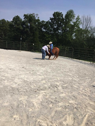 Training with an assistant